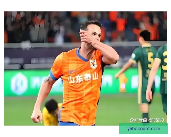 世界杯体育竞猜赔率解析及胜负预测全面指南